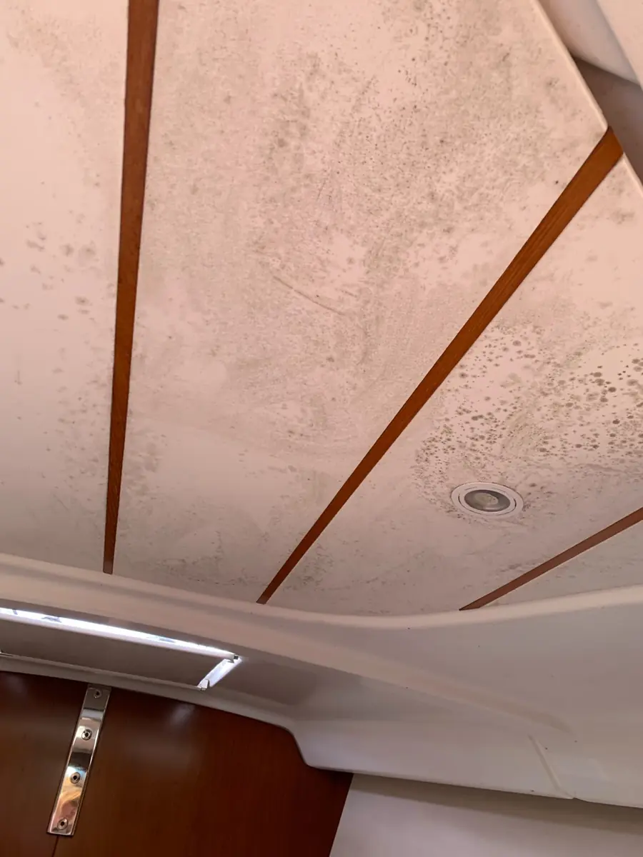 Cabin ceiling lining marked with dark mould spotting